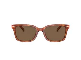 Coach Cr630 HC 8398U 577473 54 Men sunglasses