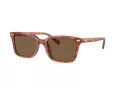 Coach Cr630 HC 8398U 577473 54 Men sunglasses