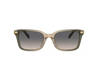 Coach Cr630 HC 8398U 5797G9 54 Men sunglasses