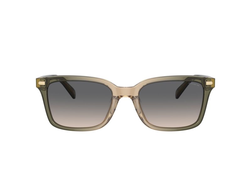 Coach Cr630 HC 8398U 5797G9 54 Men sunglasses