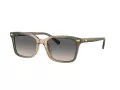 Coach Cr630 HC 8398U 5797G9 54 Men sunglasses