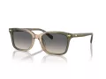 Coach Cr630 HC 8398U 5797G9 54 Men sunglasses