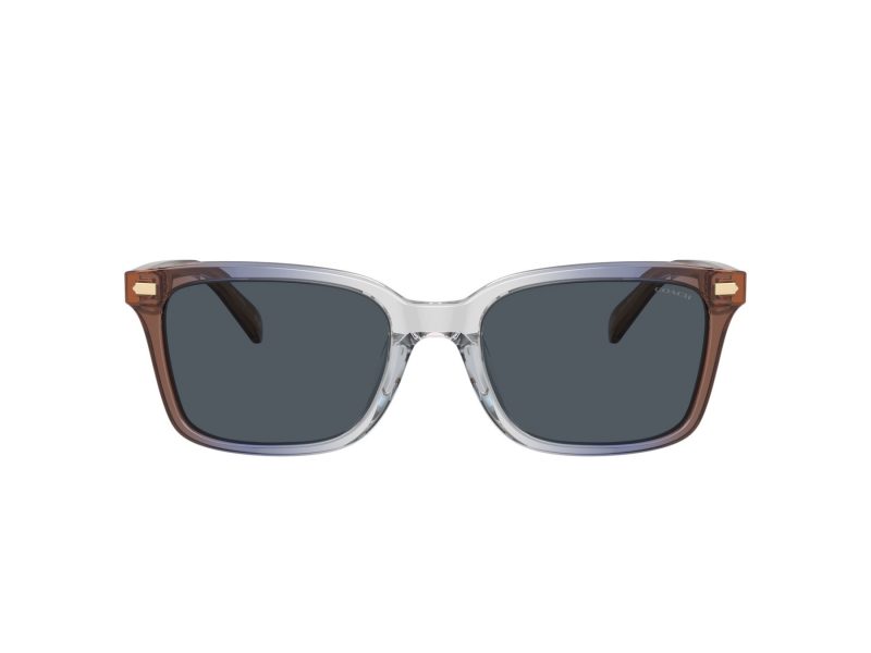 Coach Cr630 HC 8398U 581587 54 Men sunglasses