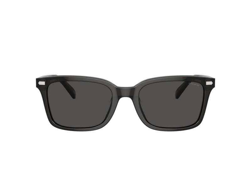 Coach Cr630 HC 8398U 581787 54 Men sunglasses