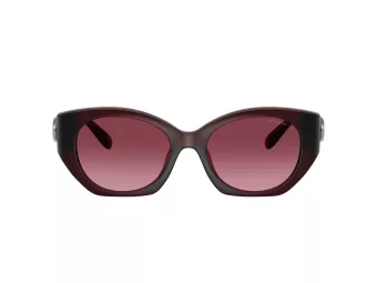 Coach Cw194 HC 8407U 53938H 52 Women sunglasses