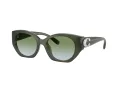 Coach Cw194 HC 8407U 584017 52 Women sunglasses