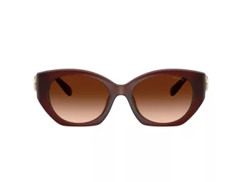 Coach Cw194 HC 8407U 584174 52 Women sunglasses