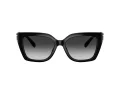 Coach Cw195 HC 8408U 50023C 55 Women sunglasses