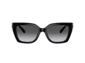 Coach Cw195 HC 8408U 5002T3 55 Women sunglasses