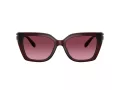 Coach Cw195 HC 8408U 53938H 55 Women sunglasses