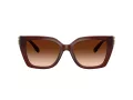 Coach Cw195 HC 8408U 584174 55 Women sunglasses