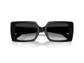 Coach Cw224 HC 8409U 50023C 53 Women sunglasses