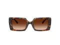 Coach Cw224 HC 8409U 584474 53 Women sunglasses