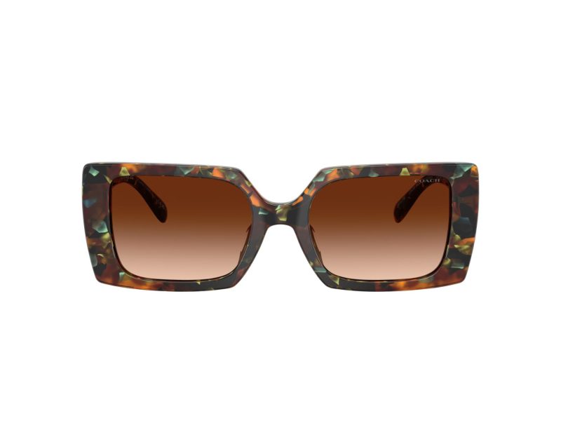 Coach Cw224 HC 8409U 584474 53 Women sunglasses