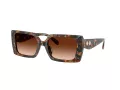 Coach Cw224 HC 8409U 584474 53 Women sunglasses