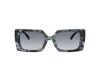 Coach Cw224 HC 8409U 584535 53 Women sunglasses