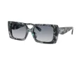 Coach Cw224 HC 8409U 584535 53 Women sunglasses