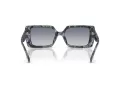 Coach Cw224 HC 8409U 584535 53 Women sunglasses