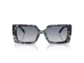 Coach Cw224 HC 8409U 584535 53 Women sunglasses