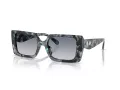 Coach Cw224 HC 8409U 584535 53 Women sunglasses