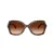 Coach Cw225 HC 8410U 584474 56 Women sunglasses