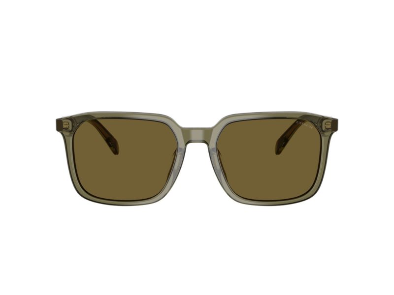 Coach Cw405 HC 8411U 5848S7 55 Men sunglasses