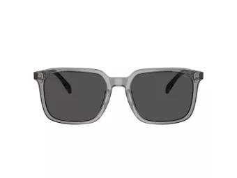 Coach Cw405 HC 8411U 584987 55 Men sunglasses