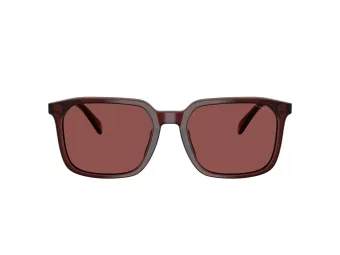 Coach Cw405 HC 8411U 585075 55 Men sunglasses