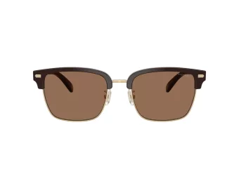 Coach Cw406 HC 8412 554273 56 Men sunglasses
