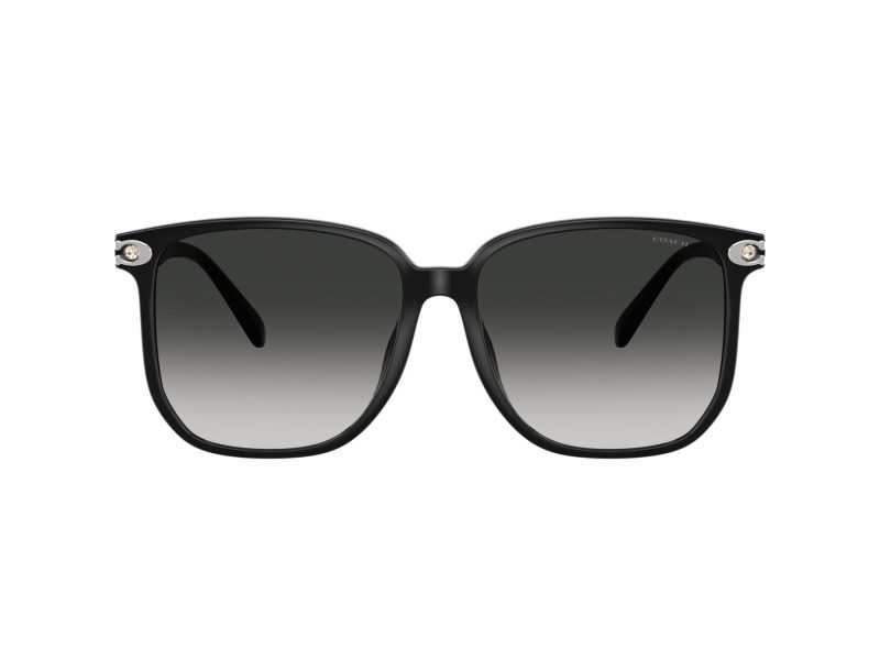 Coach Cw419 HC 8413BD 50023C 58 Women sunglasses