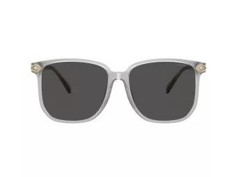 Coach Cw419 HC 8413BD 561487 58 Women sunglasses