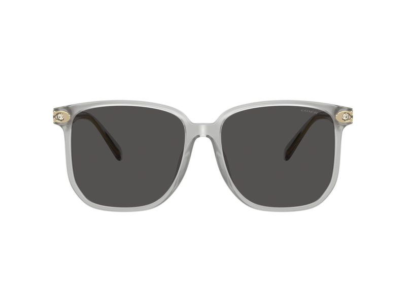 Coach Cw419 HC 8413BD 561487 58 Women sunglasses