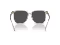 Coach Cw419 HC 8413BD 561487 58 Women sunglasses