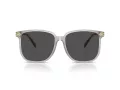 Coach Cw419 HC 8413BD 561487 58 Women sunglasses