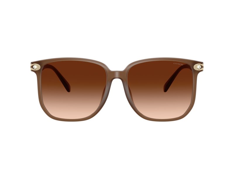 Coach Cw419 HC 8413BD 580874 58 Women sunglasses