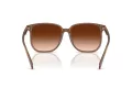 Coach Cw419 HC 8413BD 580874 58 Women sunglasses