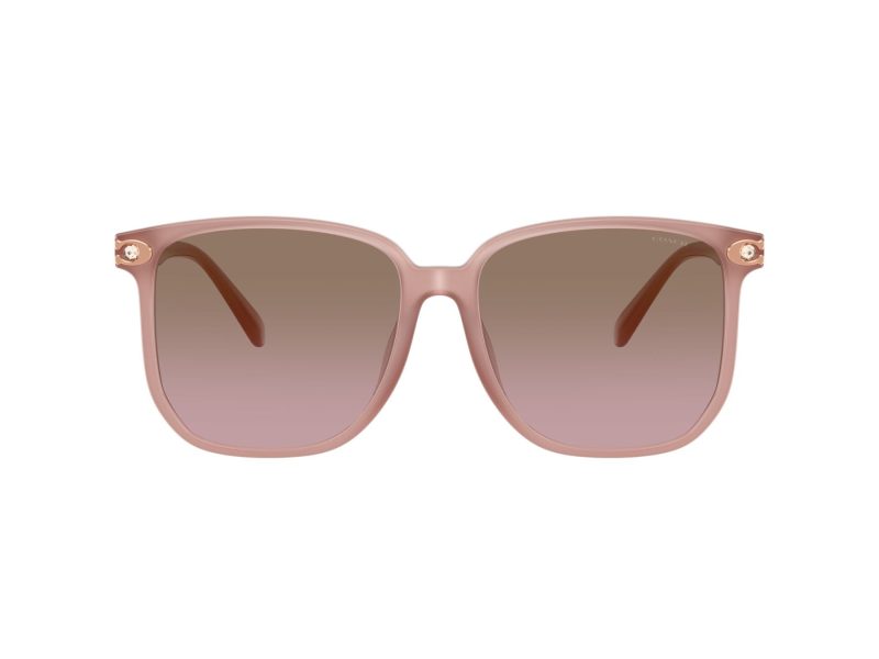 Coach Cw419 HC 8413BD 583914 58 Women sunglasses