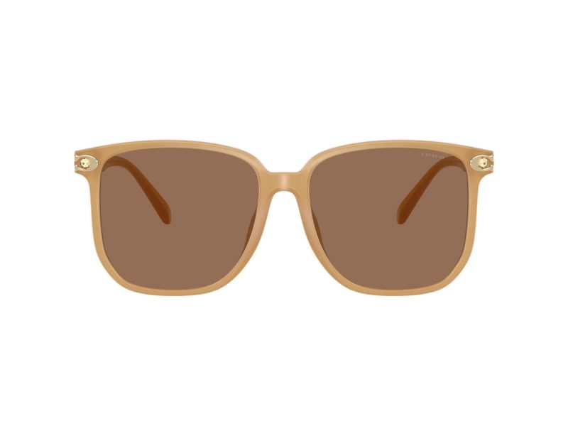 Coach Cw419 HC 8413BD 585473 58 Women sunglasses