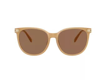 Coach Cw428 HC 8414BD 585473 57 Women sunglasses