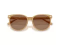Coach Cw428 HC 8414BD 585473 57 Women sunglasses
