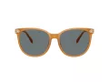 Coach Cw428 HC 8414BD 585580 57 Women sunglasses