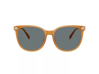 Coach Cw428 HC 8414BD 585580 57 Women sunglasses