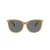 Coach Cw428 HC 8414BD 585580 57 Women sunglasses