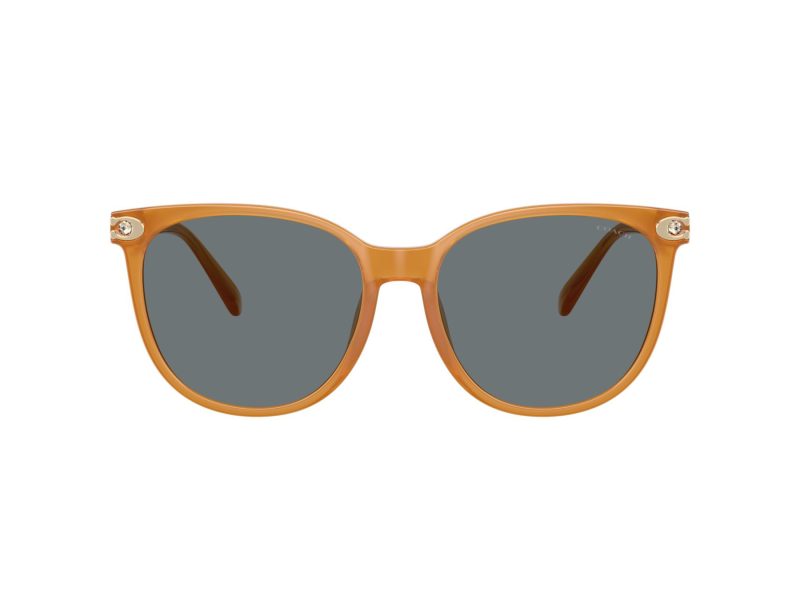 Coach Cw428 HC 8414BD 585580 57 Women sunglasses