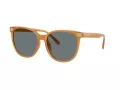 Coach Cw428 HC 8414BD 585580 57 Women sunglasses