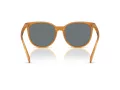 Coach Cw428 HC 8414BD 585580 57 Women sunglasses