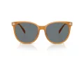 Coach Cw428 HC 8414BD 585580 57 Women sunglasses