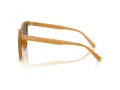 Coach Cw428 HC 8414BD 585580 57 Women sunglasses