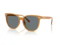 Coach Cw428 HC 8414BD 585580 57 Women sunglasses
