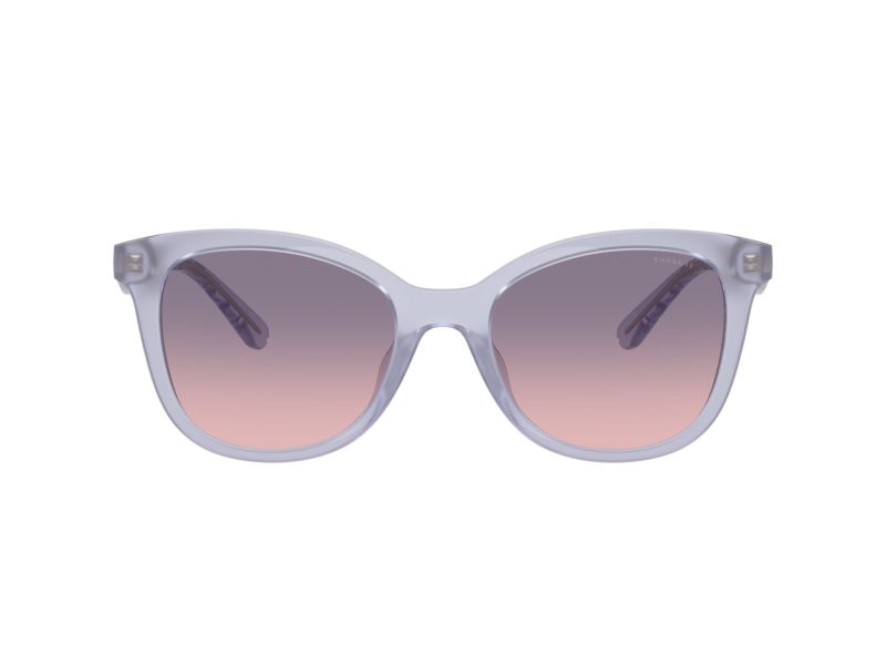 Coach Cad25 HC 8419U 5873I6 55 Women sunglasses